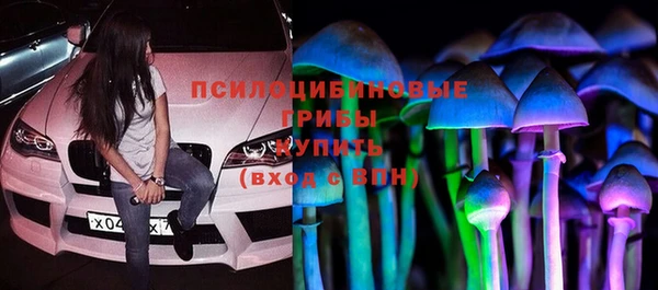 сатива Алексин
